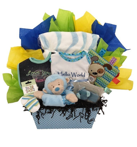 Baby Gift Baskets - Basket Pizzazz