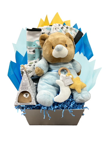 Little Bear - Basket Pizzazz