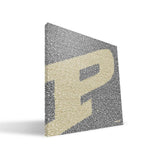 Purdue Canvas - Basket Pizzazz
